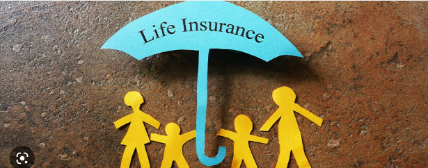 Mitigating Your Risks with Appropriate Insurance Coverage